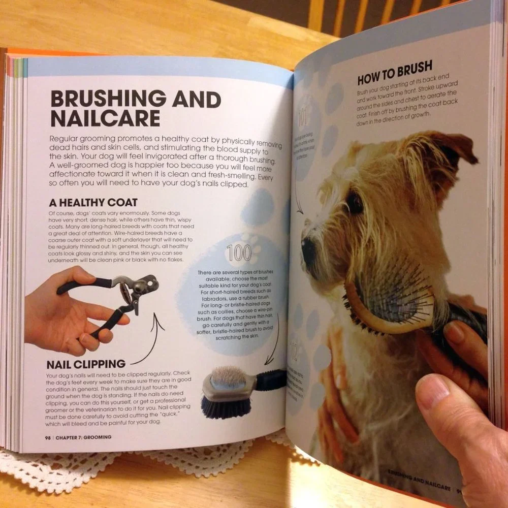 Pet Care Book, Happy Dog - tips for a happy dog